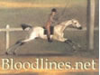 BLOODLINES