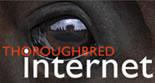 THOROUGHBRED INTERNET